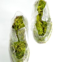 natura pathos MOSS shoes