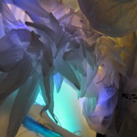 Science of the Senses. NightLife
