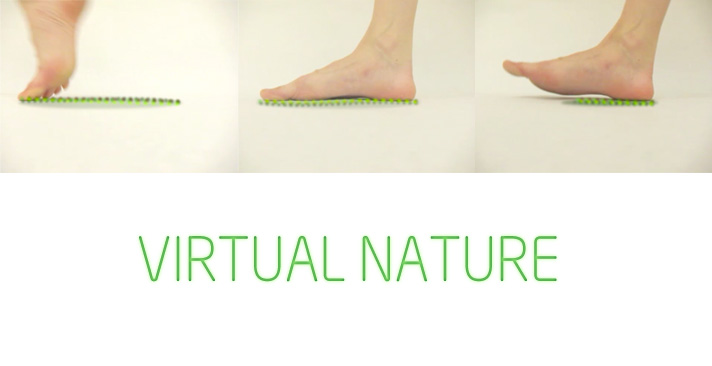 virtualnature